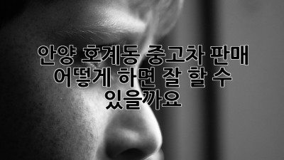 안양 호계동 중고차 판매, 어떻게 하면 잘 할 수 있을까요?