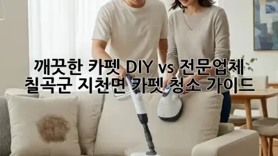 깨끗한 카펫, DIY vs 전문업체: 칠곡군 지천면 카펫 청소 가이드